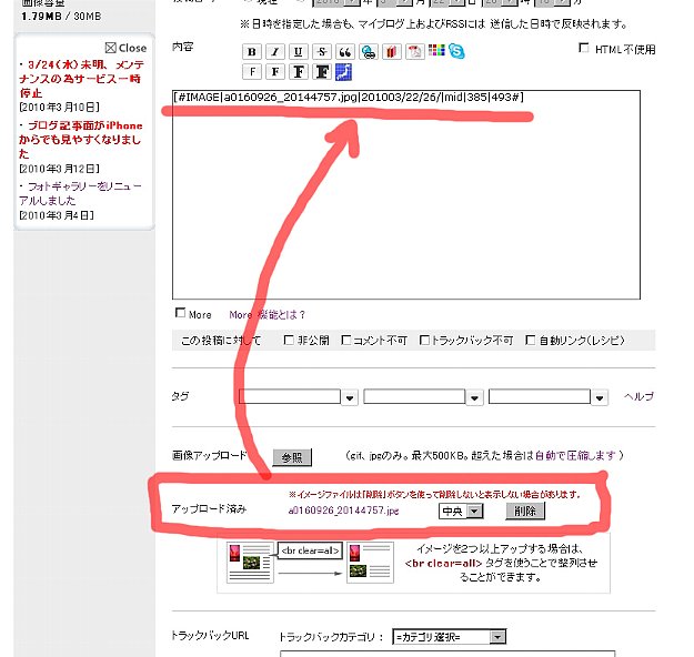 エキサイトブログの使い方：画像の貼り付け_a0160926_22274664.jpg
