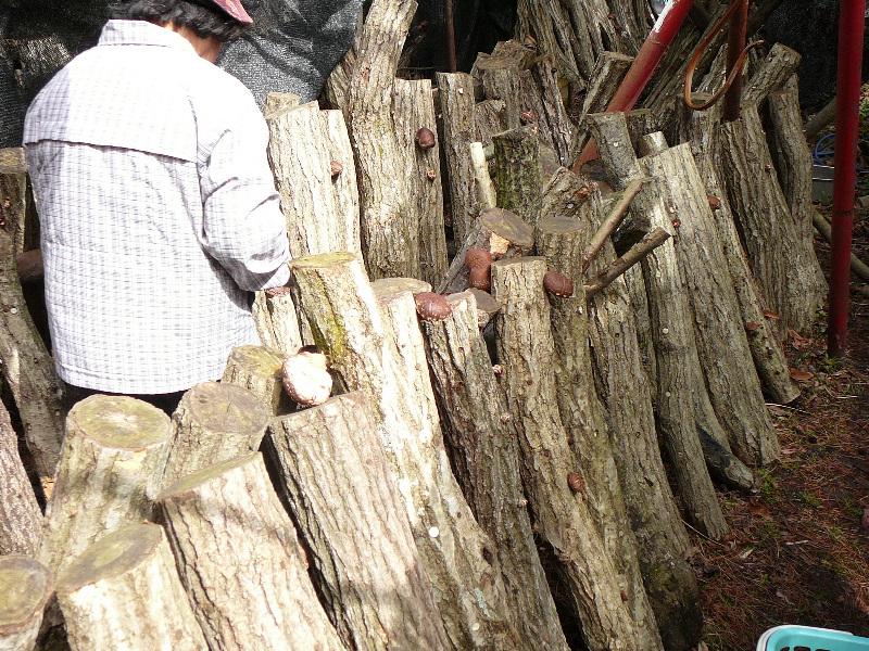 d0024426_92862.jpg