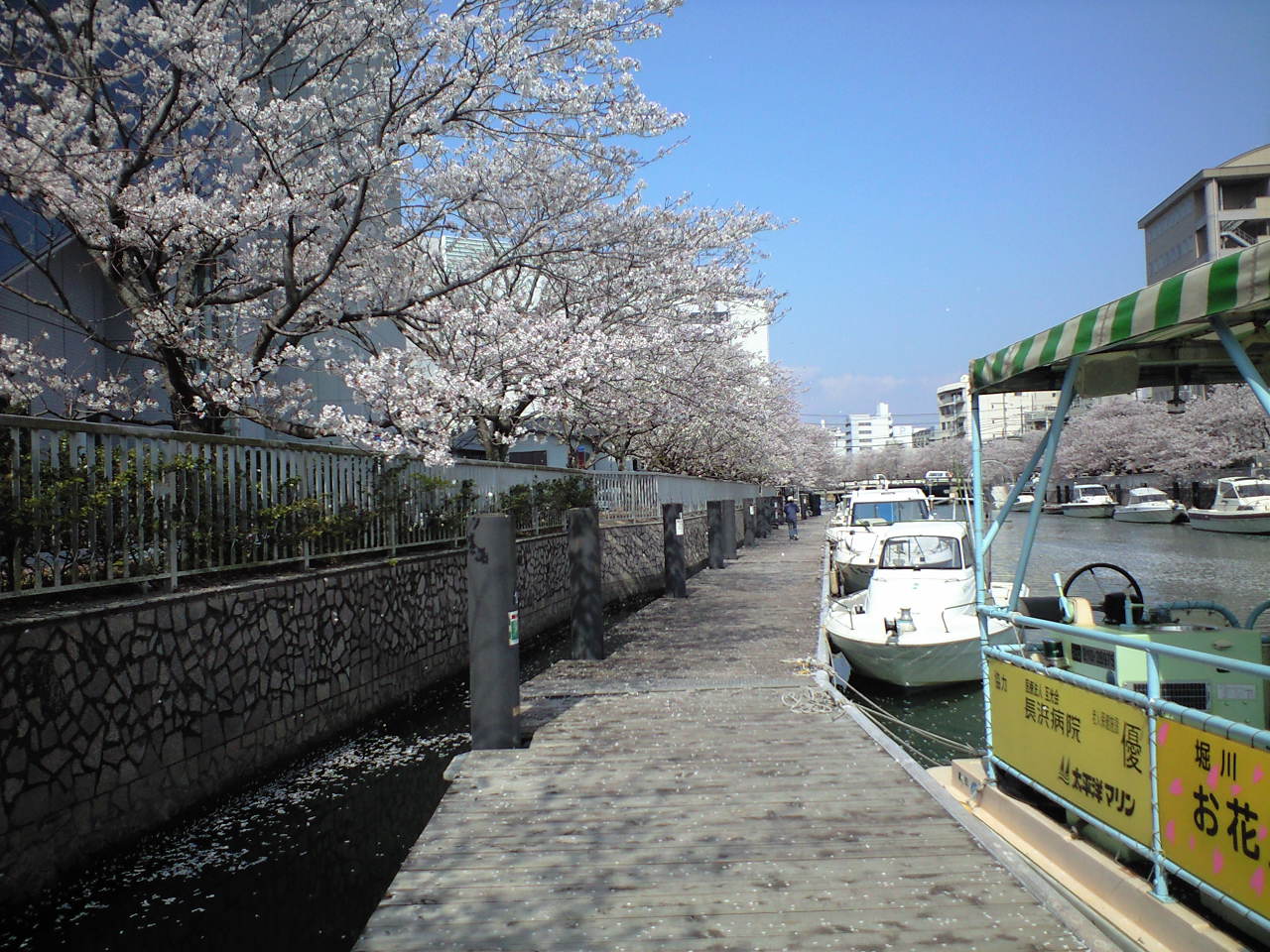 a0132631_11483835.jpg