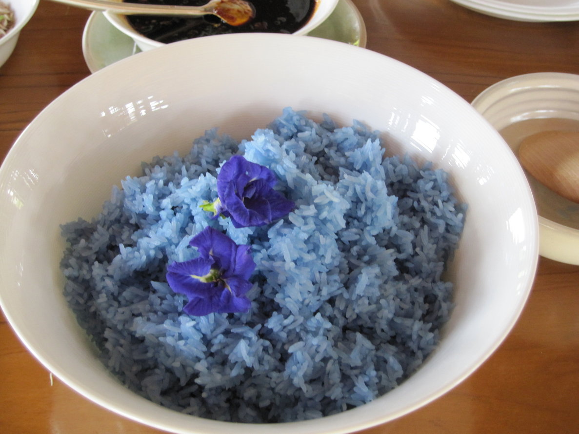 ごはんが青い うさと ごはんが青い うさと