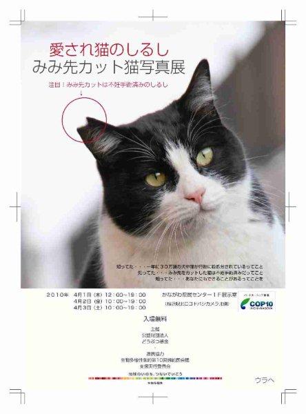 生物多様性EXPO 2010 in 大阪/閉幕_e0129441_7431763.jpg