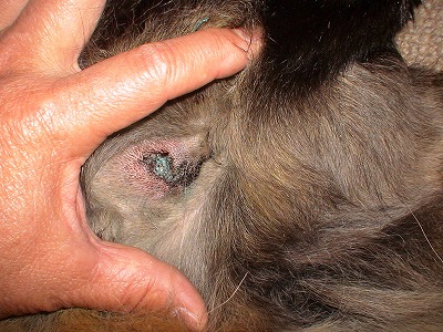 e0023643_21501774.jpg