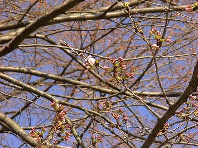 e0023643_2293392.jpg