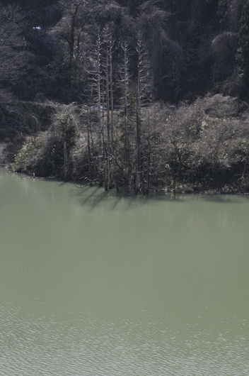 c0093046_135642.gif