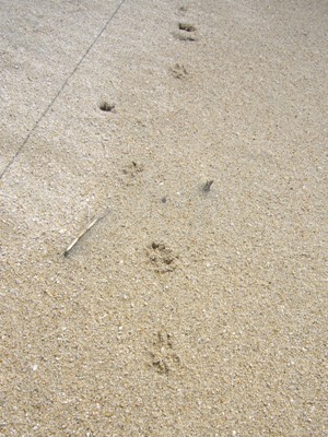e0100046_23263540.jpg