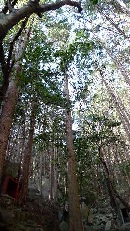 馬越「岩屋堂」で、西国三十三箇所巡り_e0111346_19295499.jpg