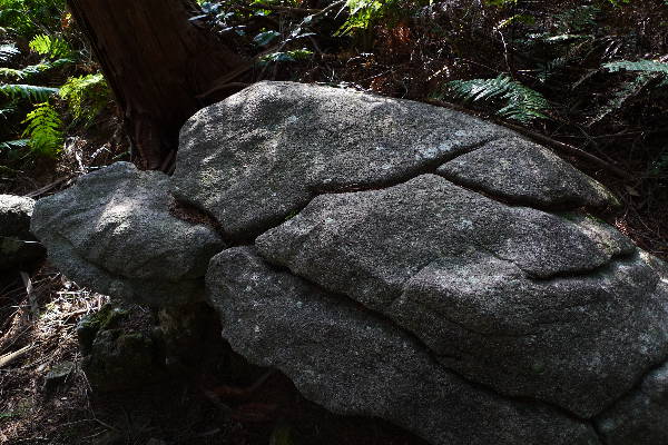 馬越「岩屋堂」で、西国三十三箇所巡り_e0111346_19471464.jpg