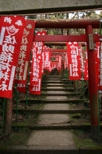 佐助稲荷神社_f0048546_6321367.jpg