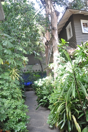 b0179447_10020.jpg