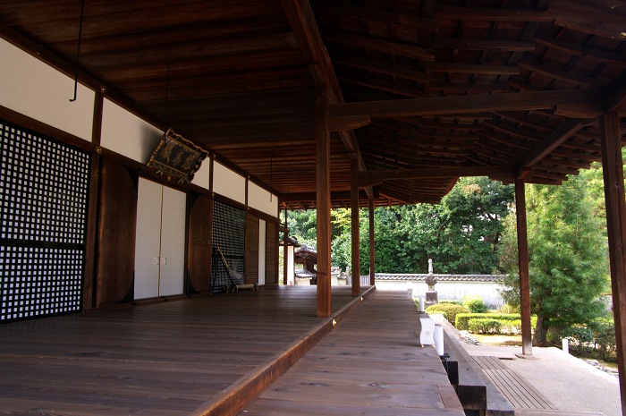 はねず梅と春の庭（泉涌寺塔頭　雲龍院）_f0155048_23582028.jpg