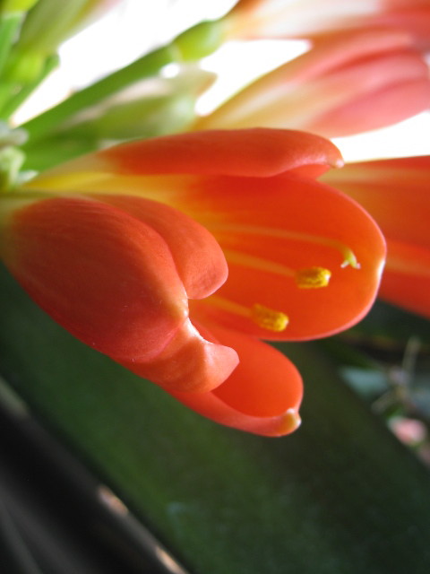 c0185858_1451547.jpg