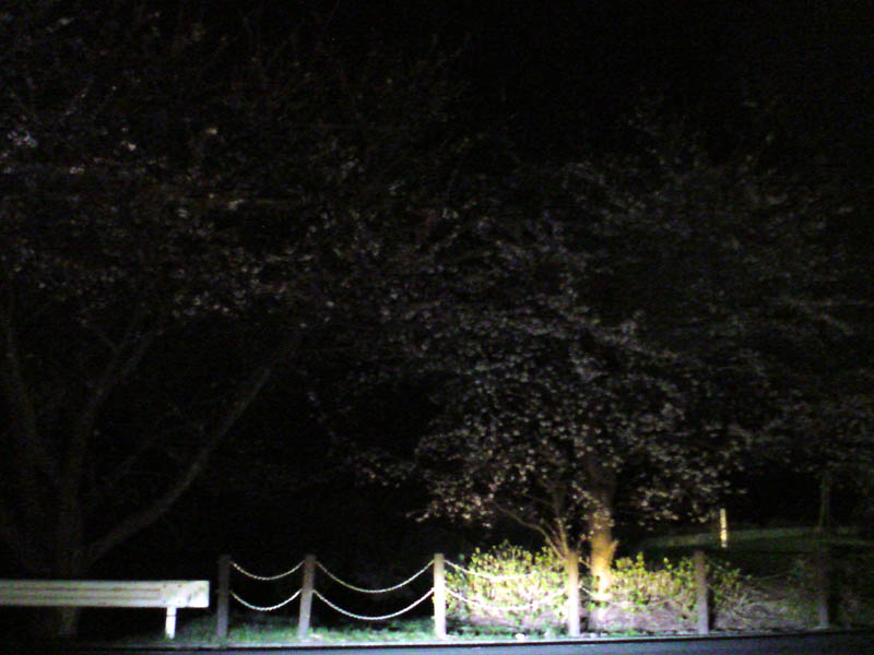 e0033459_21483741.jpg