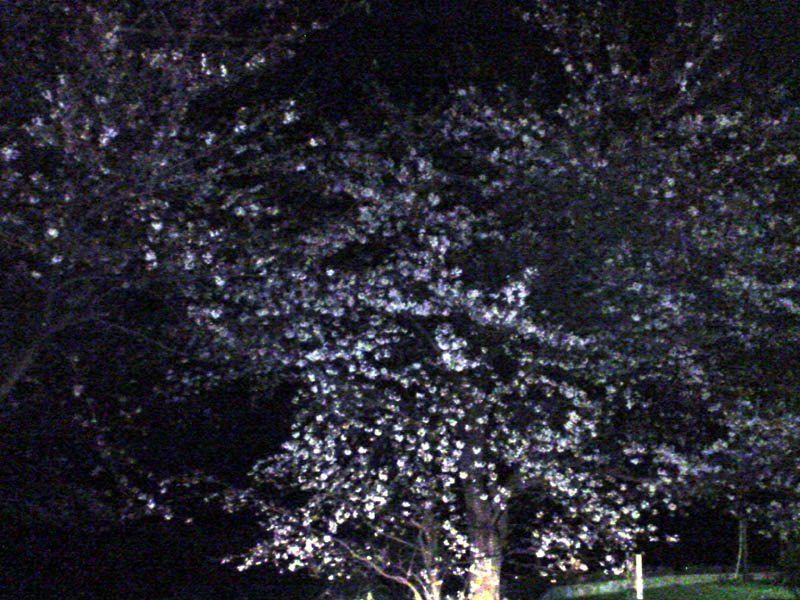 e0033459_21523251.jpg