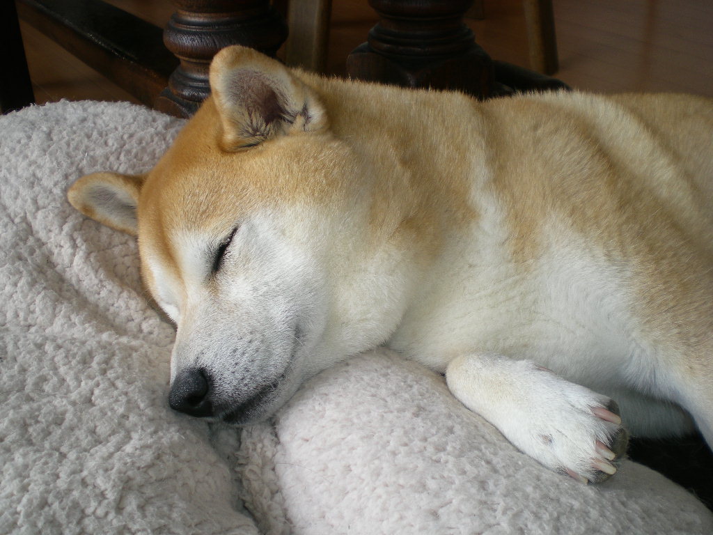 2010年3月22日(月)お墓参りに行ってきます!_f0060461_82121.jpg
