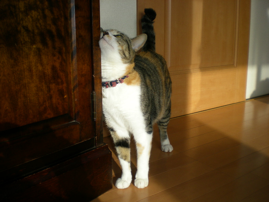 2010年3月22日(月)お墓参りに行ってきます!_f0060461_85095.jpg