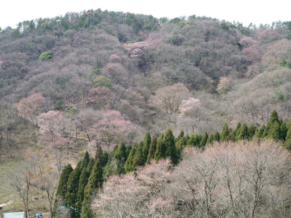 b0129962_1613156.jpg