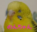 尾っぽ裂けてます＾＾；＆春コレ2010_f0196665_013140.jpg