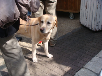 2010.3.22  屋台カフェさよならパーティー_a0083571_22273960.jpg