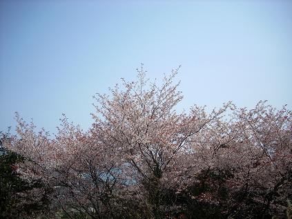 c0153173_20482822.jpg