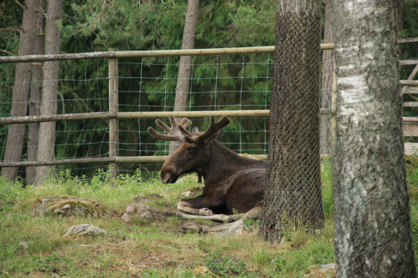 c0187779_51722.jpg