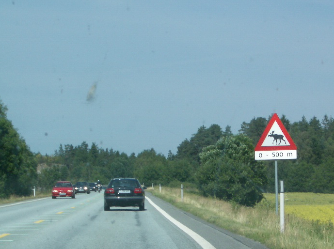 c0187779_55633.jpg