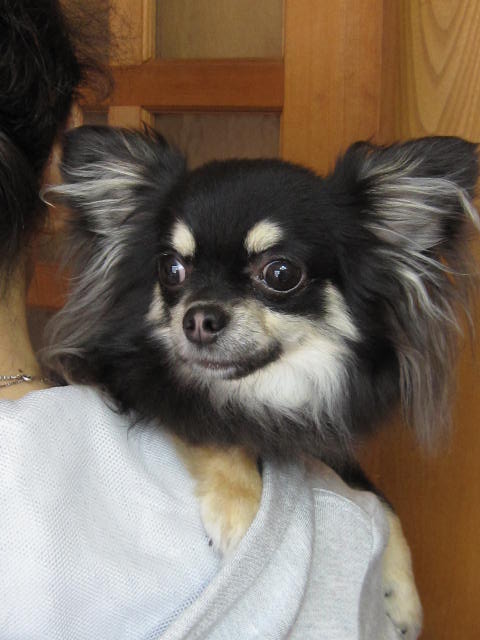 e0175885_1012721.jpg