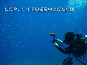 シミラン☆透明度抜群☆いかなきゃ損!!_f0144385_057366.jpg