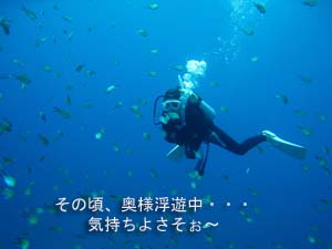 シミラン☆透明度抜群☆いかなきゃ損!!_f0144385_058962.jpg