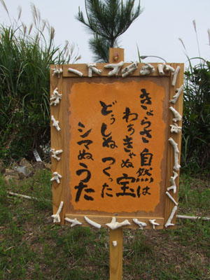 e0028387_0513027.jpg