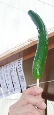 f0079289_09244.jpg