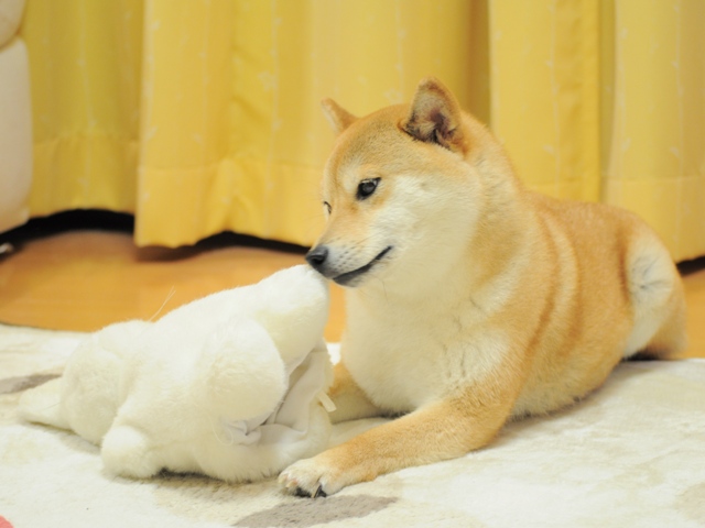 みんなの声から勇気が生まれる_a0126590_0303341.jpg