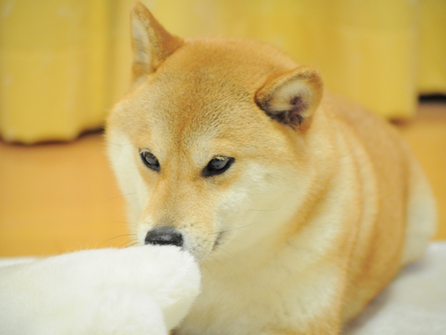 みんなの声から勇気が生まれる_a0126590_0313360.jpg
