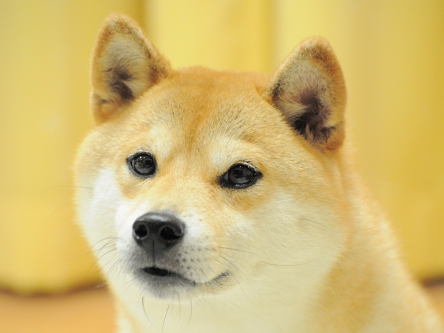 みんなの声から勇気が生まれる_a0126590_0315682.jpg