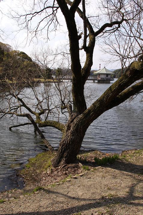 c0218490_04952.jpg