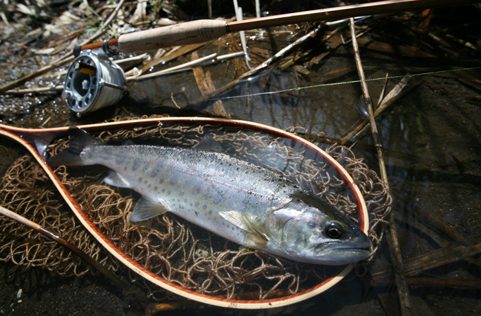f0166390_2051421.jpg