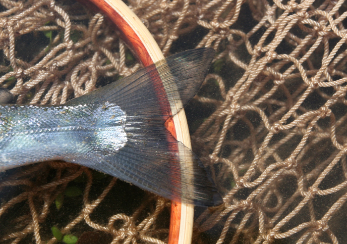 f0166390_20541742.jpg