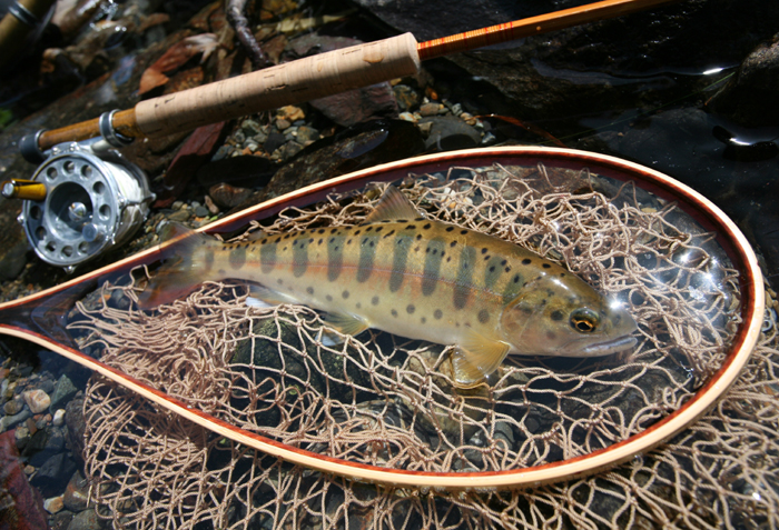 f0166390_210362.jpg
