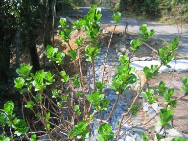 f0227590_22415144.jpg