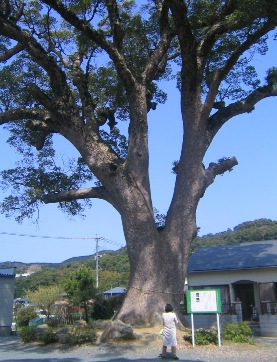 f0227590_22525751.jpg