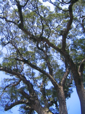 f0227590_2343076.jpg