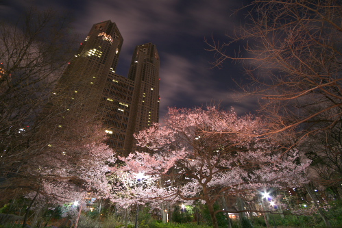 c0082191_23275128.jpg