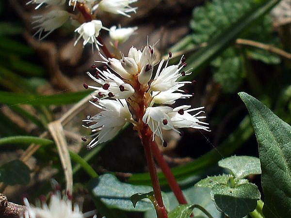 f0200594_1730271.jpg