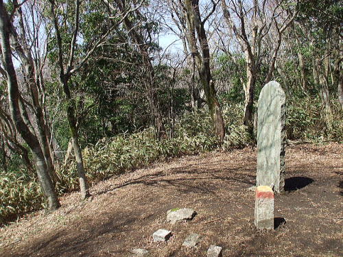 f0200594_1735650.jpg