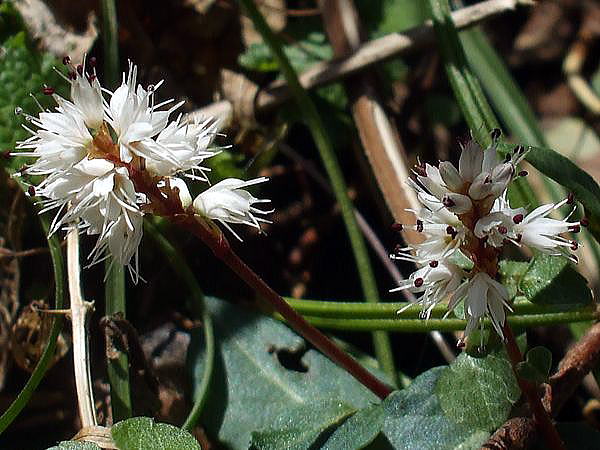 f0200594_17434413.jpg