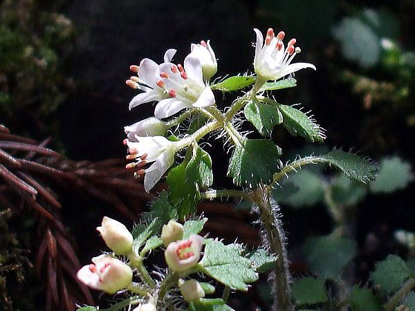 f0200594_17461022.jpg