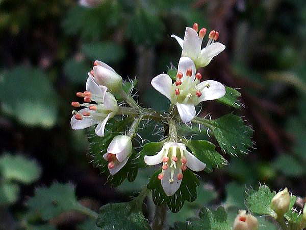f0200594_17514871.jpg
