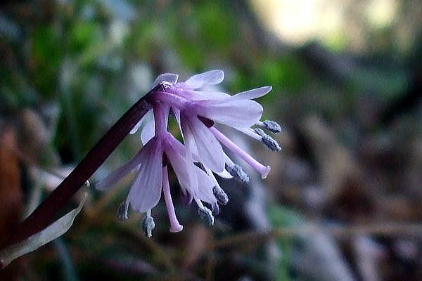 f0200594_18105679.jpg