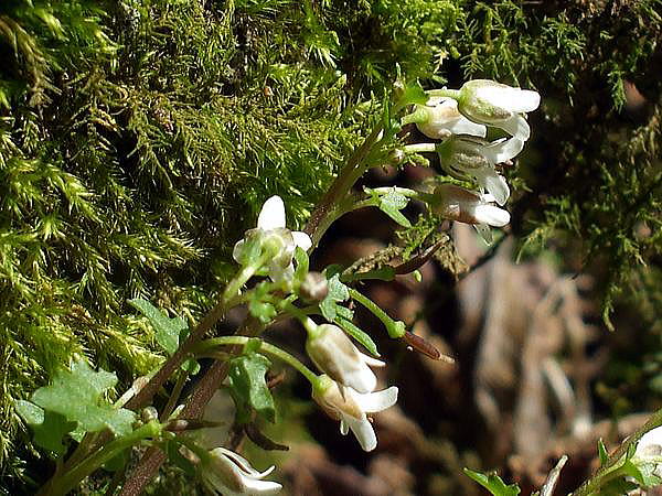 f0200594_1812753.jpg