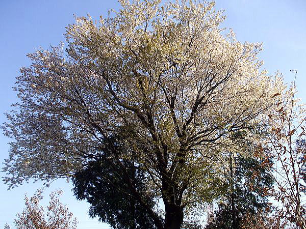 f0200594_18162310.jpg
