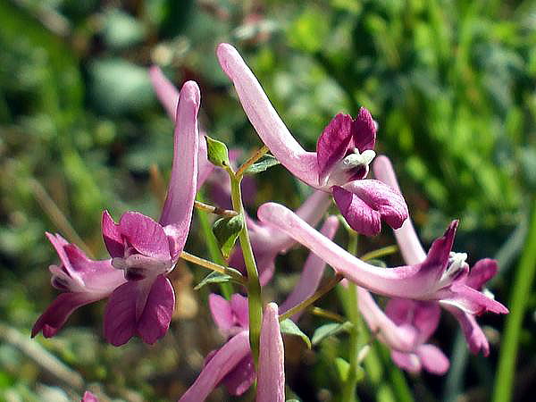 f0200594_18204551.jpg